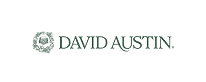 David Austin Roses
